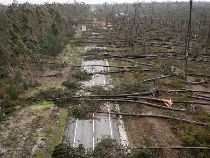 Condições de contribuições superam os 10 milhões