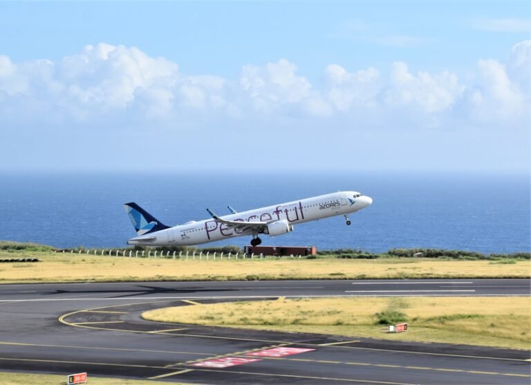 Consórcio de Carlos Tavares assegura que irá até às "últimas possibilidades" na venda dos Açores