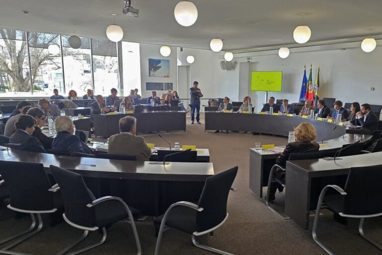 Setúbal avalia os danos causados pelas chuvas em encontro do Conselho Metropolitano de Lisboa