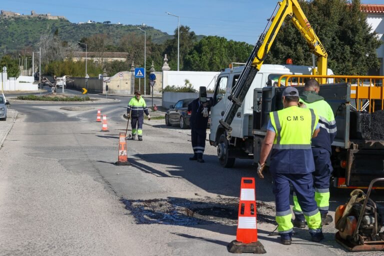 Grupos no local podam árvores e consertam buracos nas vias