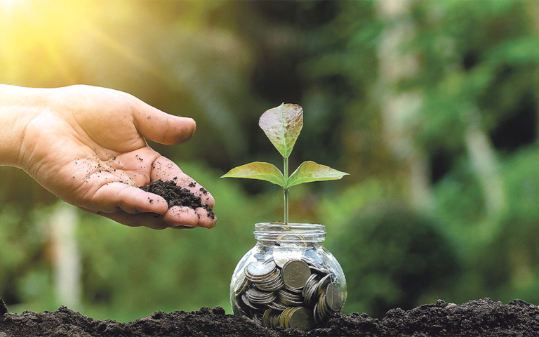 Porcentagem de economia das famílias diminui para 12,1% em 2025