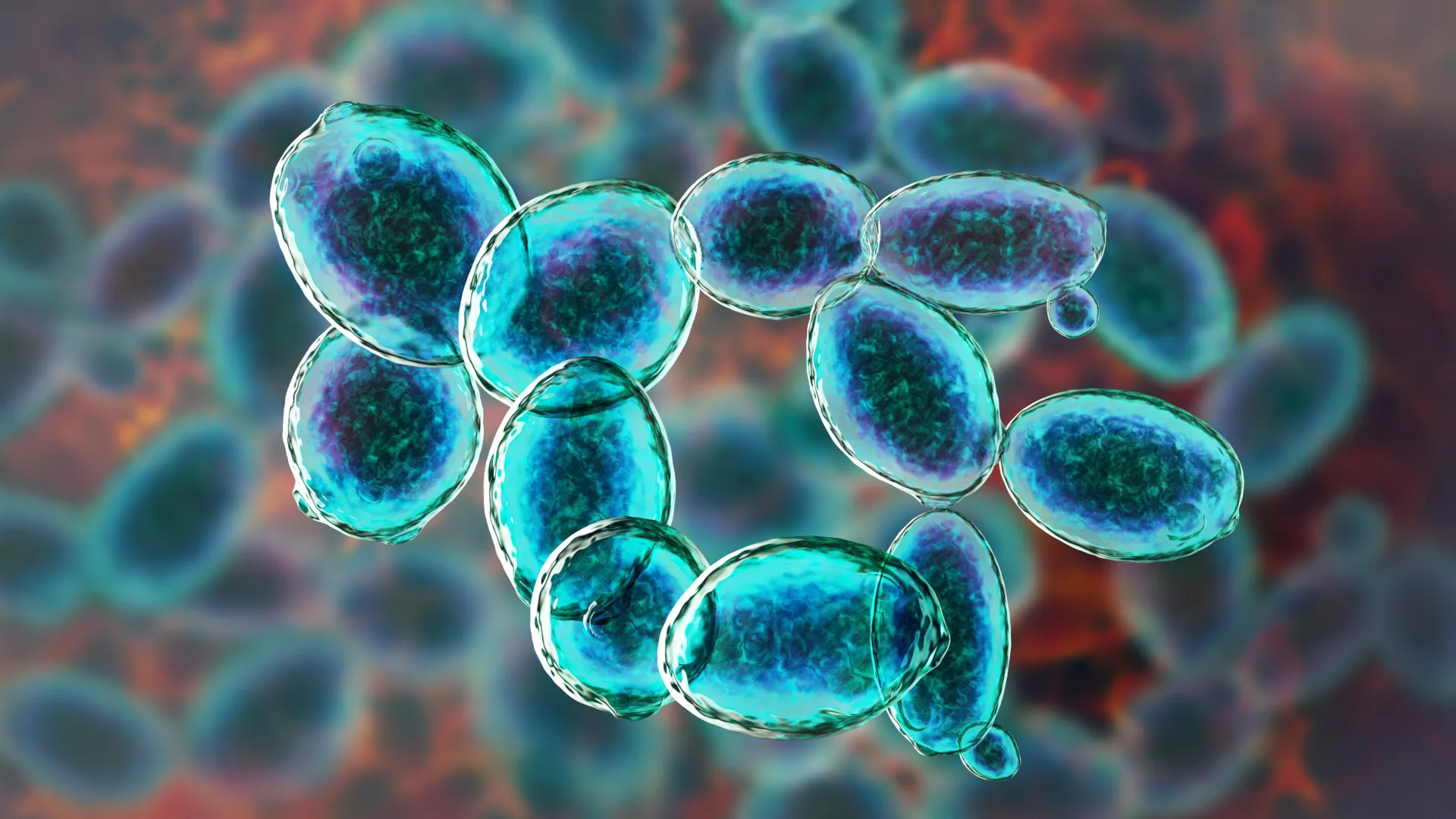 Esse pequeno ser se negou a sucumbir em condições semelhantes às de Marte.