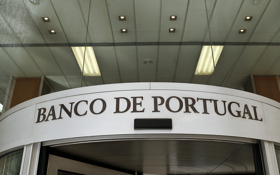 A onda de migração juvenil no ano anterior atingiu o nível máximo em quase dez anos.